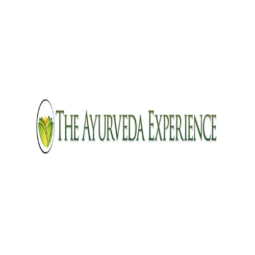 the ayurveda experience US