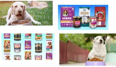 10 Best Inexpensive Dog Foods_ Quality Nutrition on a Budget