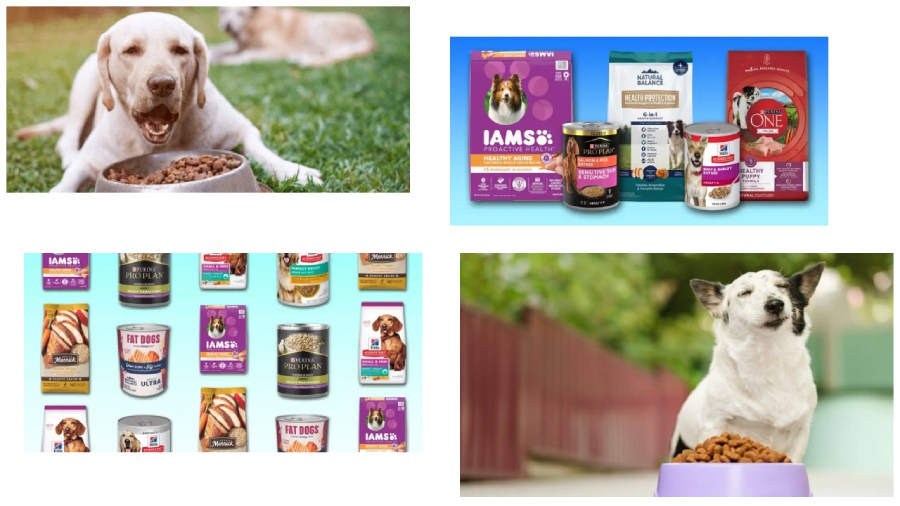 10 Best Inexpensive Dog Foods_ Quality Nutrition on a Budget