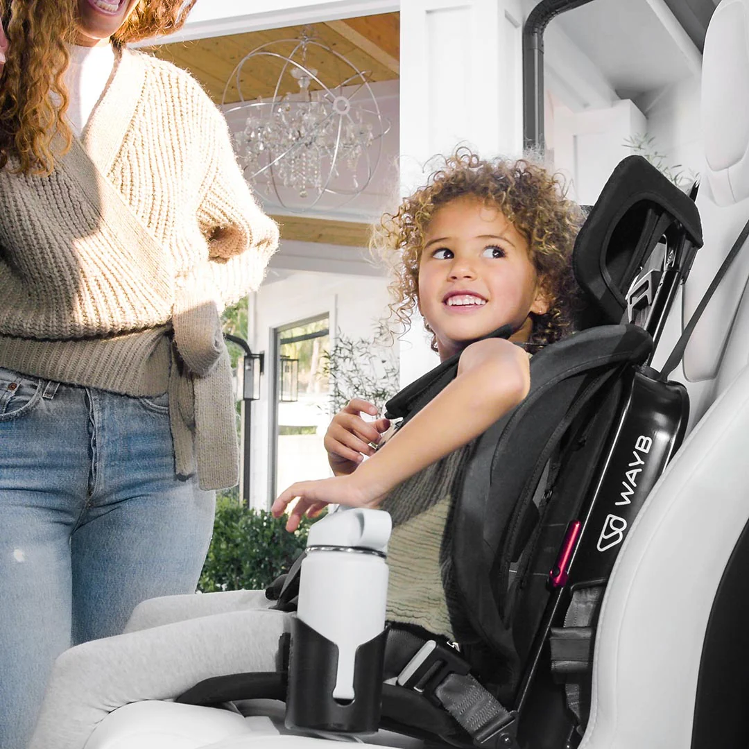 Pico Portable Car Seat
