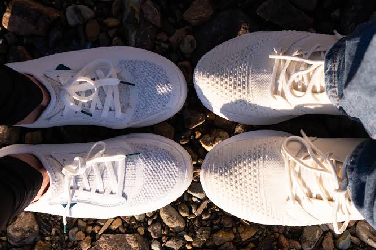 Vessi vs Allbirds — The Honest Comparison Nobody Actually Makes